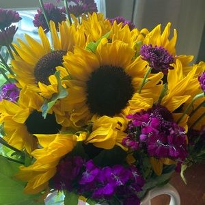 Meet your Posher, Jacquelyn